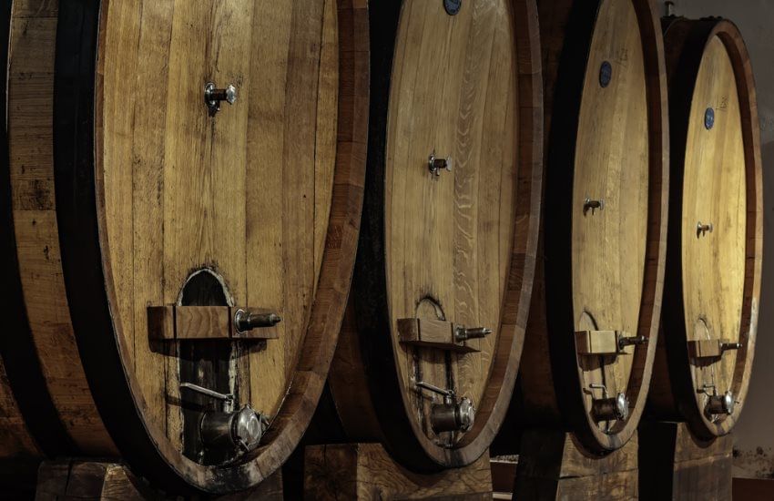 Barolo Wine Tour with Lunch from Milan