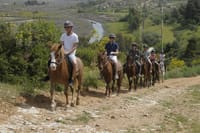Kusadasi: Horse Riding Beach and Forest options with Transfer 7