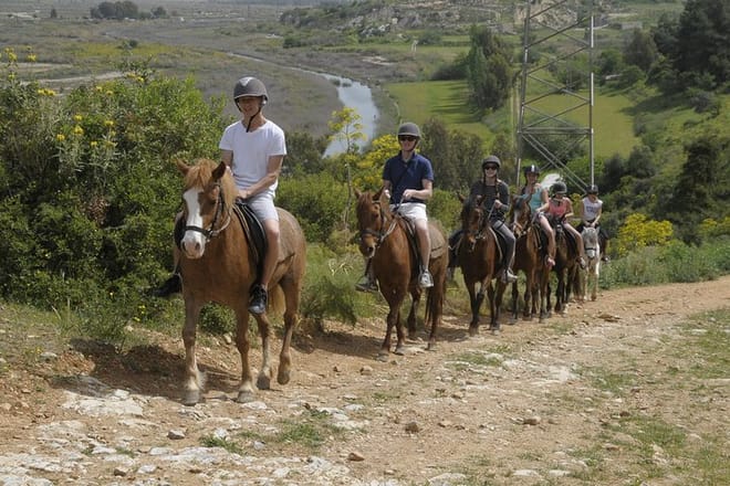 Kusadasi: Horse Riding Beach and Forest options with Transfer 7