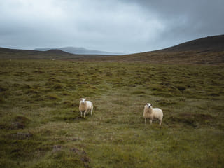 Reykjanes Peninsula | Private Tour | Photo Package Included, photo 22
