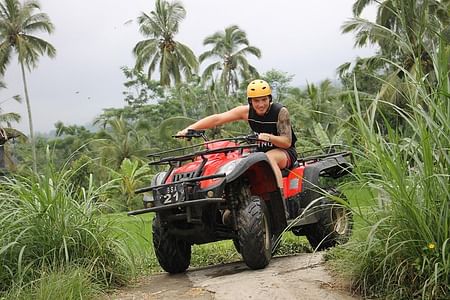 ATV Adventure and Sangeh Monkey Forest Exploration in Bali