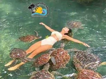 Swim and Snorkel with Turtles at Baraka Aquarium, Nungwi