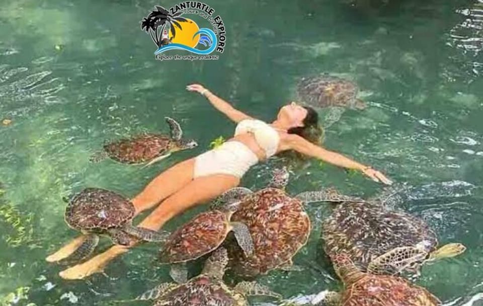 Zanzibar Swim, Snorkel & Feed Turtles at Baraka Aquarium