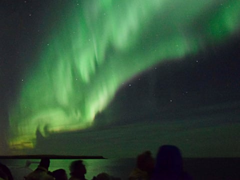 Horses & Northern Lights by boat