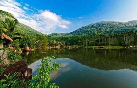 Yanoda Rainforest and Glass Skywalk Day Tour in Sanya