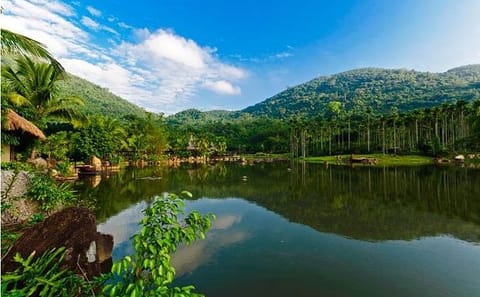Yanoda Rainforest and Glass Skywalk Day Tour in Sanya