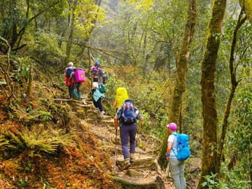 Two-Day Fansipan Mountain Trekking from Hanoi to Sapa