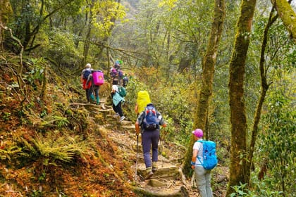 Fansipan Mountain Trekking 2 days 1 night