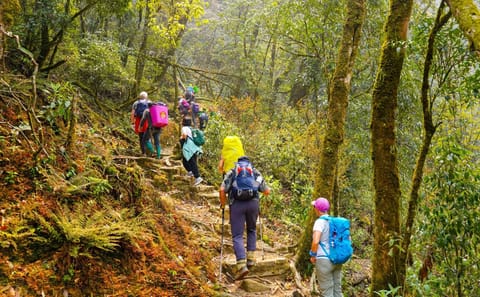 Two-Day Fansipan Mountain Trekking from Hanoi to Sapa