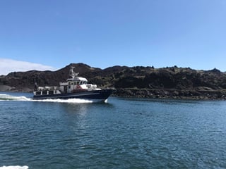 Vestmannaeyjar Boat Tour, photo 7
