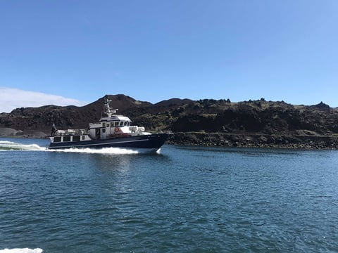 Vestmannaeyjar Boat Tour, photo 7