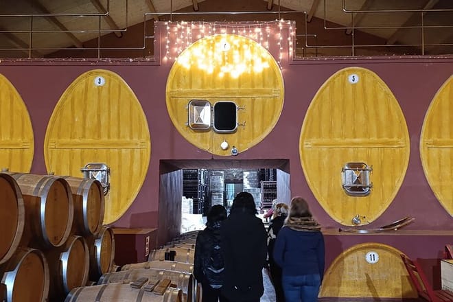 Rioja Day Tour: Explore Three Wineries with Tastings - Photo 7