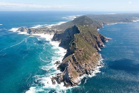 Table Mountain, cape peninsula& Penguins Colony Small Group Tour