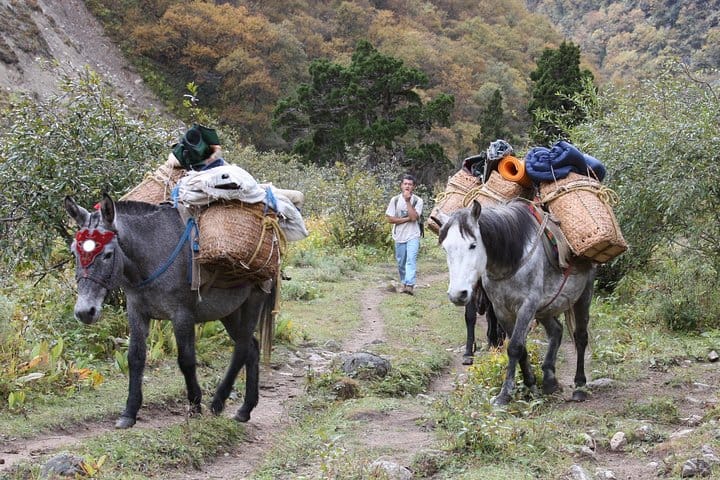 19 Days Mera Peak Climbing & Expedition – One Life-Changing Himalayan Adventure