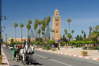 Visit Majorelle Gardens, Museum and Ramparts 6