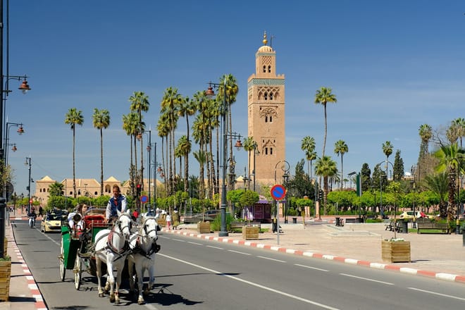 Majorelle Garden, Museum and Ramparts 6
