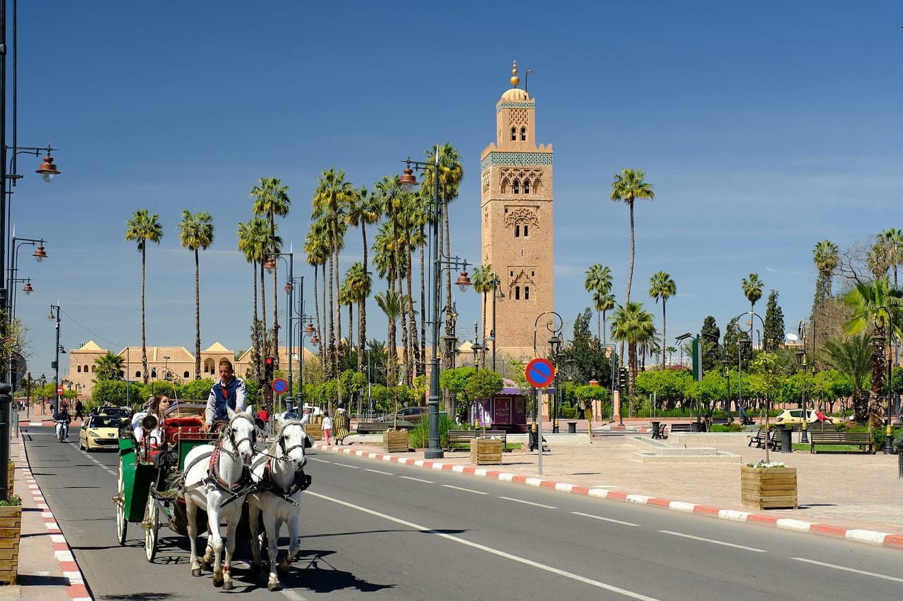 Visit Majorelle Gardens, Museum and Ramparts 6