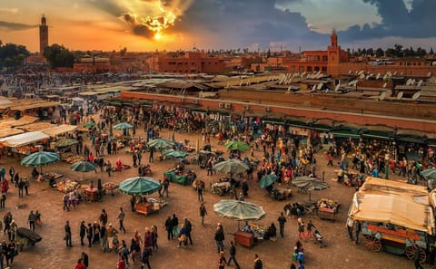 Guided Day Trip from Agadir to Marrakesh Highlights