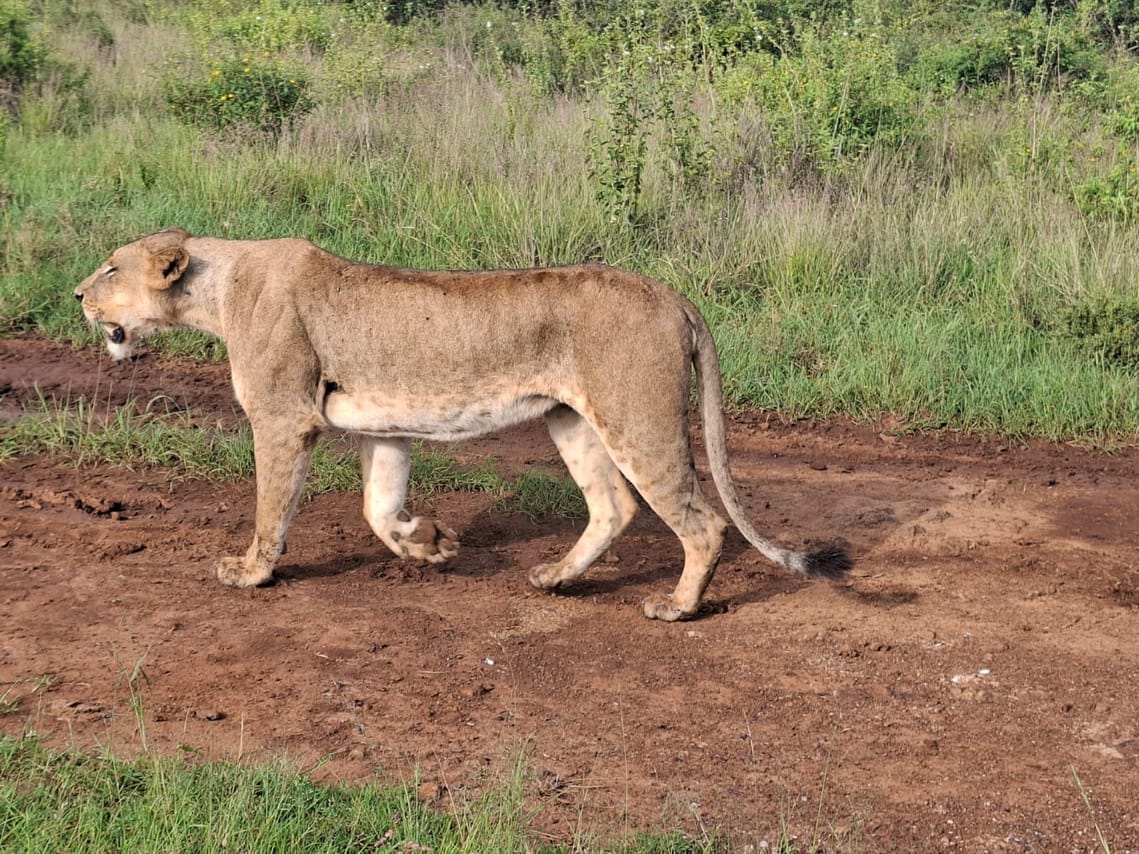 Amazing Three Days Maasai Mara Tour 3
