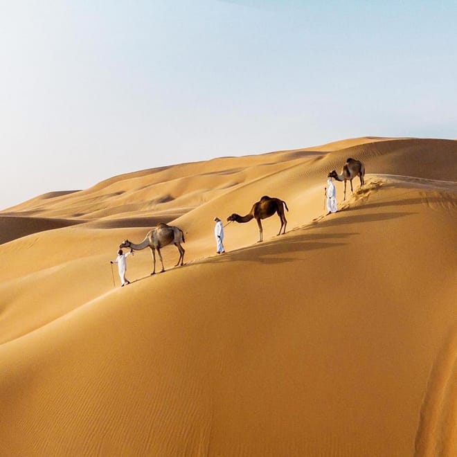 Private Morning Desert Safari And Sand-Boarding  3