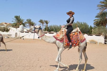 Sunset Quad Safari & Camel Ride in Hurghada’s Desert Oasis