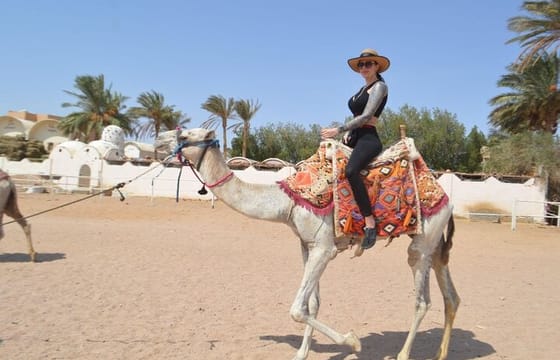 Hurghada ATV Quad Safari, Camel Ride & Bedouin Village Tour