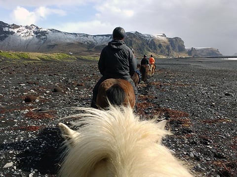 Glacier Hike & Horse Riding in South Iceland, photo 12
