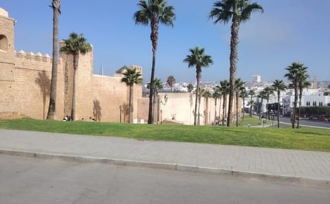 Marrakech to Casablanca and Rabat Private Day Tour