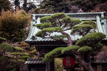 Tokyo to Kamakura English Guided Private Tour