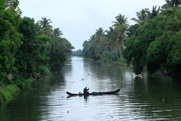 Explore Munnar, Thekkady, and Alleppey on a 6-Day Tour
