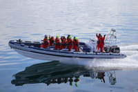 Reykjavík Premium Whale Watching 6