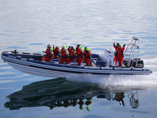 Reykjavík Premium Whale Watching, photo 7