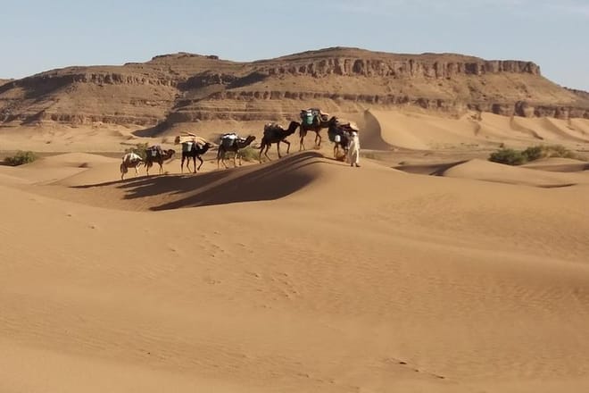 Camel Trek Morocco 8 Days photo 3