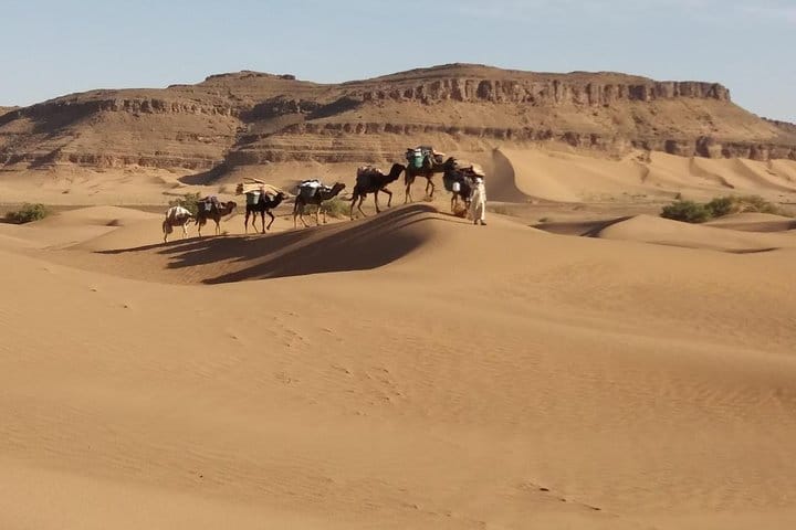 Camel Trek Morocco 8 Days 3