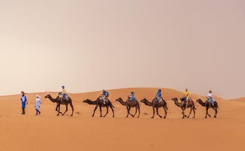 Two-Day Shared Adventure Tour from Fes to Merzouga Desert