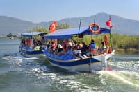 Dalyan Mud Baths and Turtle Beach Day Tour From Fethiye 1
