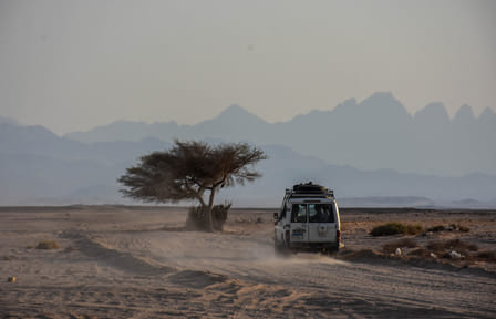 Desert Jeep Safari and Camel Ride Adventure from Safaga