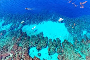 Roatan Eco Adventure: Zipline, Wildlife Park, and Snorkeling