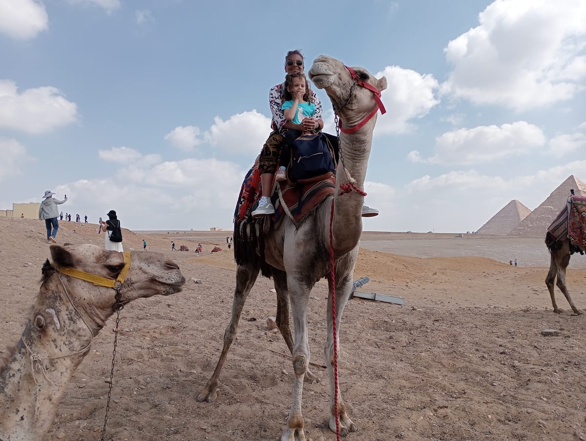 Saqqara Pyramids & Dahshur Pyramids and Memphis Tour With Lunch