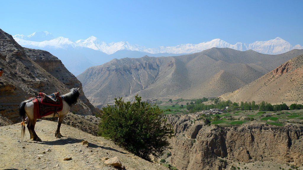 19 Days Mera Peak Climbing & Expedition – One Life-Changing Himalayan Adventure