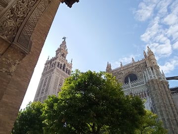 From Cordoba: Seville private full day trip