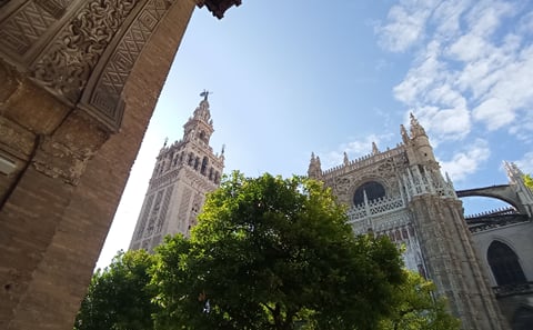From Cordoba: Seville private full day trip