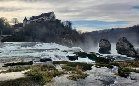 Zurich City Break: 4-Day Tour with Rhine Falls and Mt. Titlis