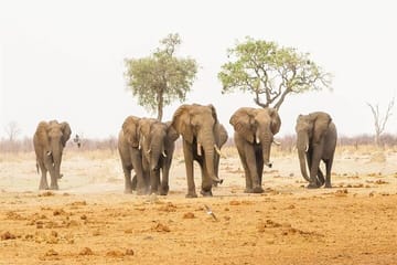 3 Days Tsavo East and West Safari Tour from Nairobi on 4×4 Jeep