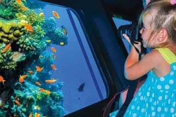 Seascope Semi-Submarine Adventure – 2-Hour Tour from Hurghada