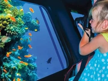 Semi-Submarine Dolphin Watching Tour in Hurghada, Egypt