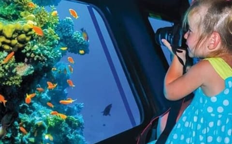 Semi-Submarine Dolphin Watching Tour in Hurghada, Egypt