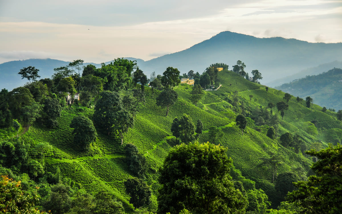 19 Days Mera Peak Climbing & Expedition – One Life-Changing Himalayan Adventure