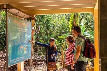 Full-day Long Phuoc Tunnels And Long Tan Battlefield Tour