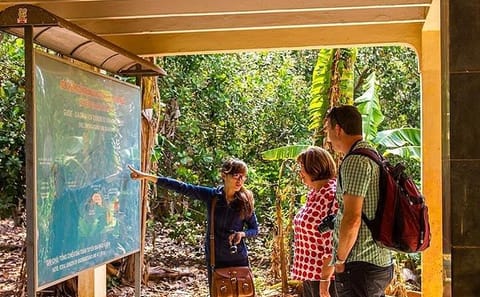 Full-Day Long Phuoc Tunnels and Long Tan Battlefield Tour in Ho Chi Minh City
